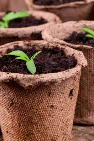 Как использовать торфяные горшочки для рассады | Garden, Lawn garden, Lawn