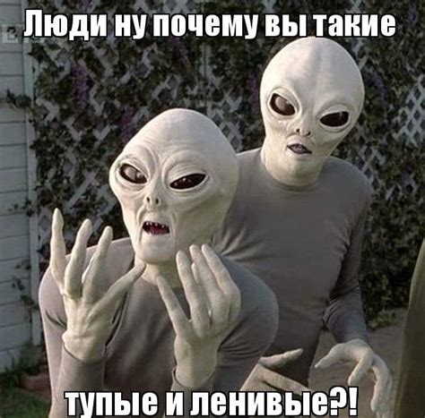 Прикольные картинки про тупых людей