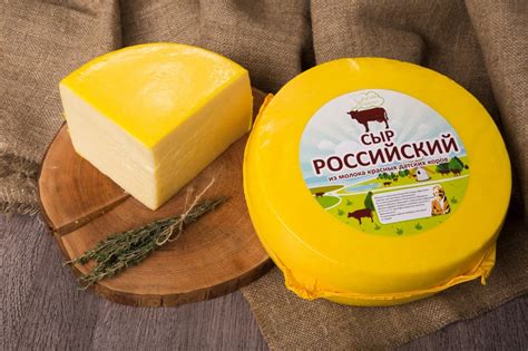 Сыры без соли: названия несоленых сортов, виды