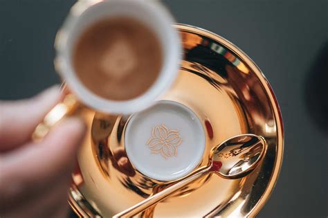 The Science of Coffee Brewing - Food Meets Science Conference