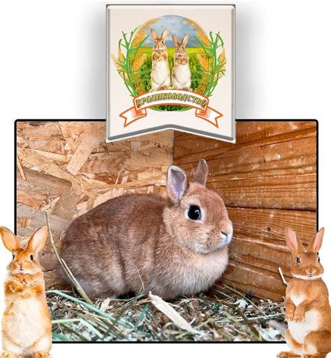 Доброе утро! Счастье, счастье и только счастье ждет вас сегодня, ведь ...