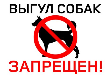Табличка «Выгул собак запрещен!»: скачать и распечатать — 3mu.ru