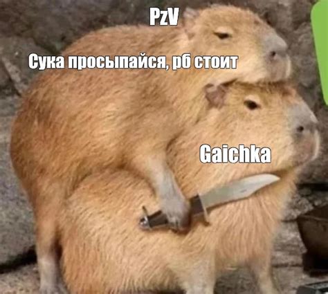 Мем: "PzV Сука просыпайся, рб стоит Gaichka" - Все шаблоны - Meme ...