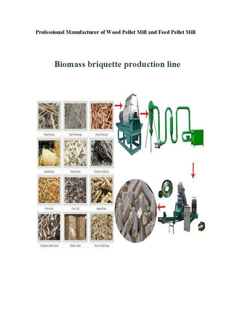 Biomass briquettes production line by Julia Liu - Issuu