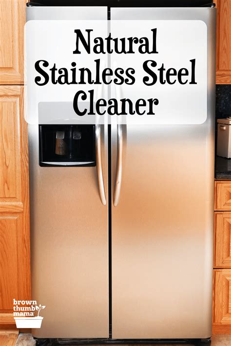 Natural Stainless Steel Cleaner - Brown Thumb Mama®