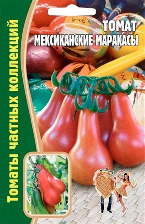 Томат Мексиканские Маракасы: описание сорта помидоров, характеристики ...