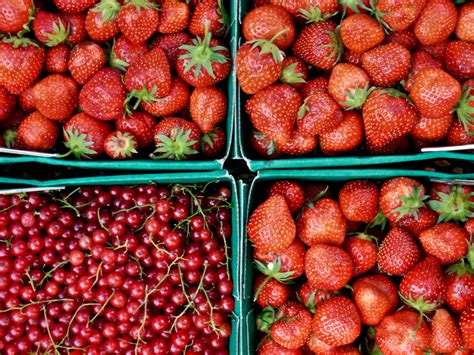 Клубника: 25 вкусных фотографий! — Российское фото