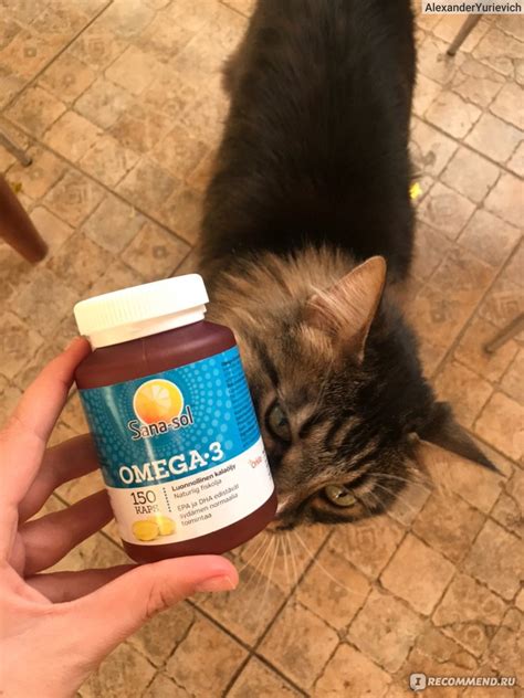 Витамины Sana-Sol Omega-3 - «Неплохой Omega 3» | отзывы
