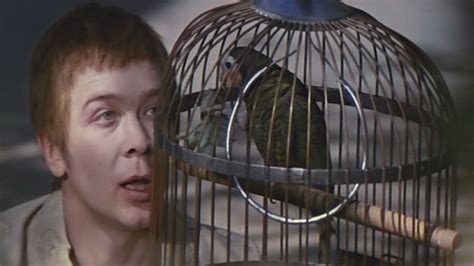 Усатый нянь - 1977: актеры, рейтинг и отзывы на канале Дом кино