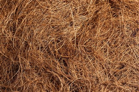 coco coir   gardening hilton landscape supply
