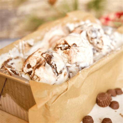 The Best Easy Moose Tracks Ice Cream Recipe • The Fresh Cooky