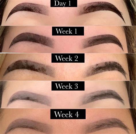Microblading Healing Process: Stages of Recovery