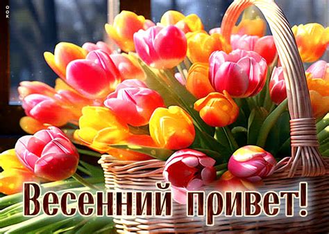Картинки Привет | ТОП Картинки