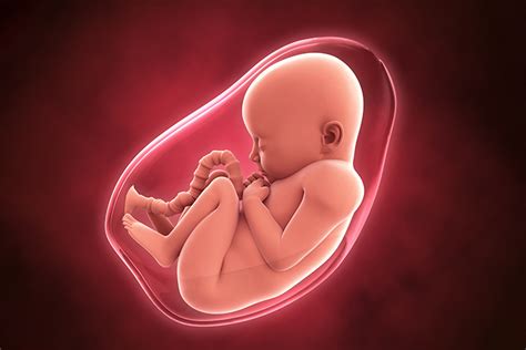 amniotic fluid      torontek
