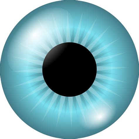 Gałki Ocznej Irys Uczeń · Darmowa grafika wektorowa na Pixabay