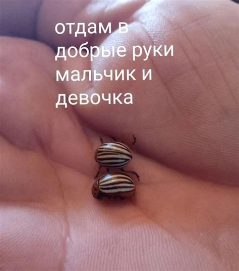 кому? | Подслушано Буденновск | ВКонтакте