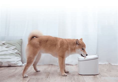 Xiaomi Smart Pet Fountain - Xiaomi Global