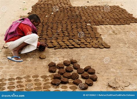 Dried Cow Dung Editorial Image | CartoonDealer.com #42135062