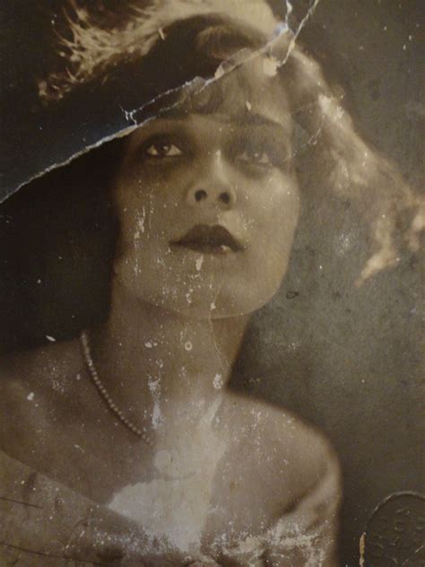 photo  picture branch nature    jooinn