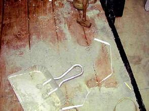The Laci Peterson Autopsy: A Comprehensive Overview - 31njaf9