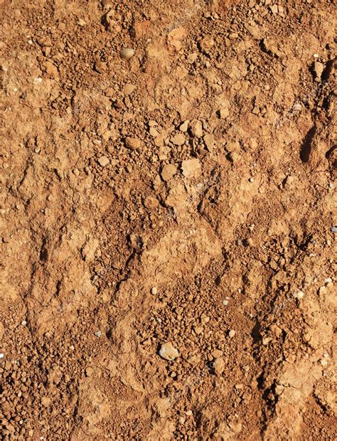 dry agricultural brown soil stock photo  anterovium