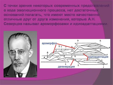 Идиоадаптация - Презентации по биологии