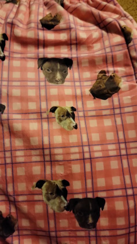 How about pitbulls on pajamas! My husband put my sweet boy on these! I