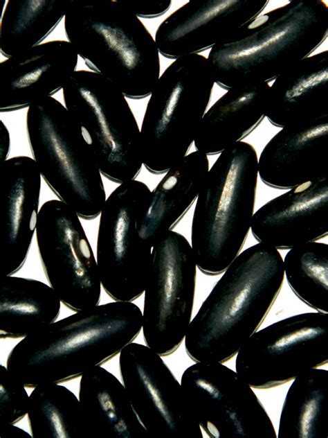Фасоль зерновая Кидни чёрная (Black Kidney)
