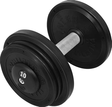 Гантель профессиональная InterAtletika ST552.10 10 кг, купить в Киеве и ...