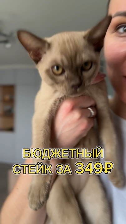 🥩Любимый бюджетный стейк за 349₽ ФЛЕНК СТЕЙК (ФЛАНК) бренда ВЕСКО Да ...
