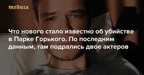 Что нового стало известно об убийстве в Парке Горького. По последним ...