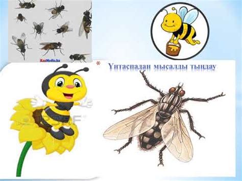 ара мен шыбын - YouTube