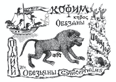 Библейский бестиарий: קוף – ’коф’ | Я-Тора