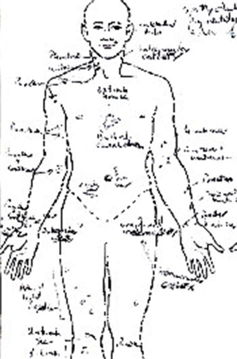 The Jonbent Ramsey Autopsy A Detailed Examination Of The Postmortem Findings And Their Lasting Impact