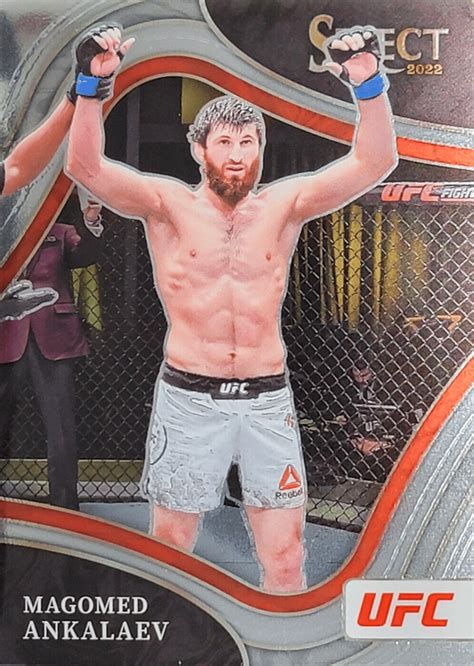 In the Clinch: Blachowicz & Ankalaev Go for Light Heavyweight Title ...