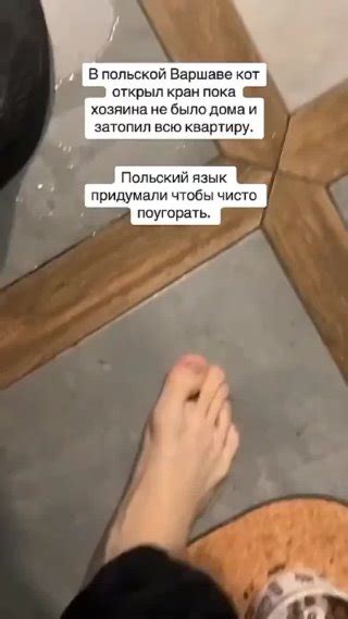 Клипы Юмор и точка