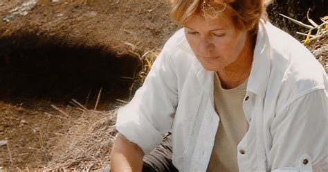 Rock Art Network - Jo Anne Van Tilburg