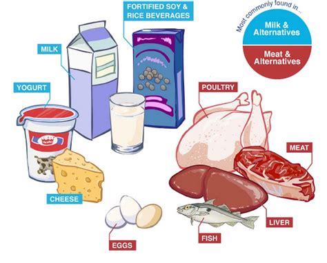 Vitamín B12 - ako funguje, účinky, cena - Detoxtela.sk