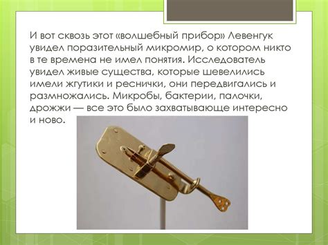 Антони Ван Левенгук (1632-1723) - презентация онлайн