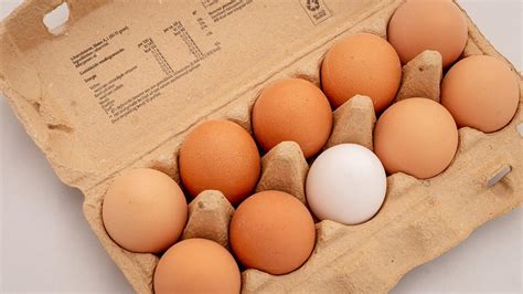 Потребление яиц в мире значительно увеличится к 2035 году
