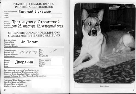 Провоз собак в самолёте на kinodog.ru