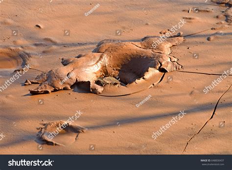 hole mud   hole caused stock photo  shutterstock