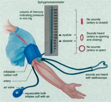 weighty matters   doctor      blood pressure