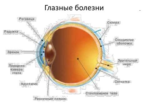 Глазные болезни. Дакриоаденит, дакриоцистит - презентация онлайн