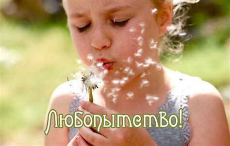 Картинки с надписью - Любопытство!.