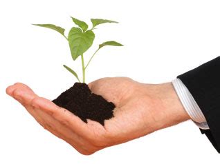 establish  successful small business enterprise