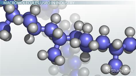Macromolecules: Definition, Types & Examples - Video & Lesson ...
