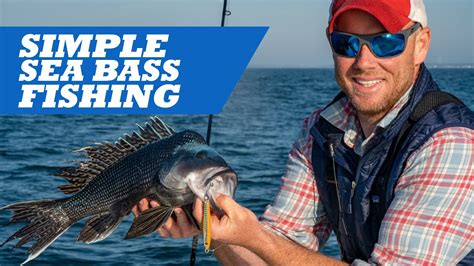 simple sea bass fishing youtube