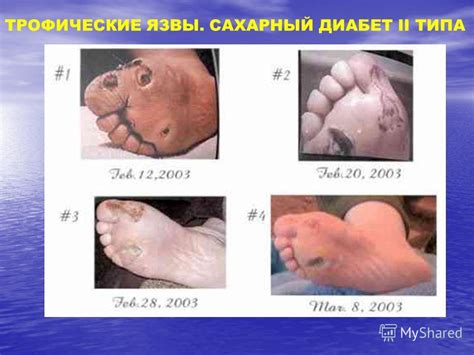 Презентация на тему: "Презентация международной программы «Исследования ...