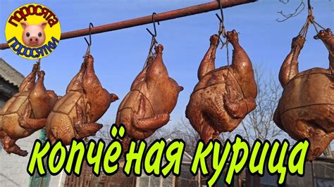 Копчёная курица. Быстрый рецепт. - YouTube